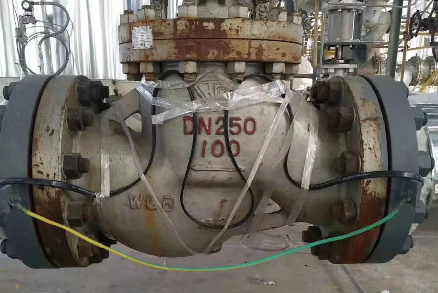3.000 T/Y Grüne, effiziente und niedrig toxische Herbizid-Rohstoffe und 3.500 T/Y chemisches Zwischen projekt der Inneren Mongolei Xinongji Science and Technology Co., Ltd.